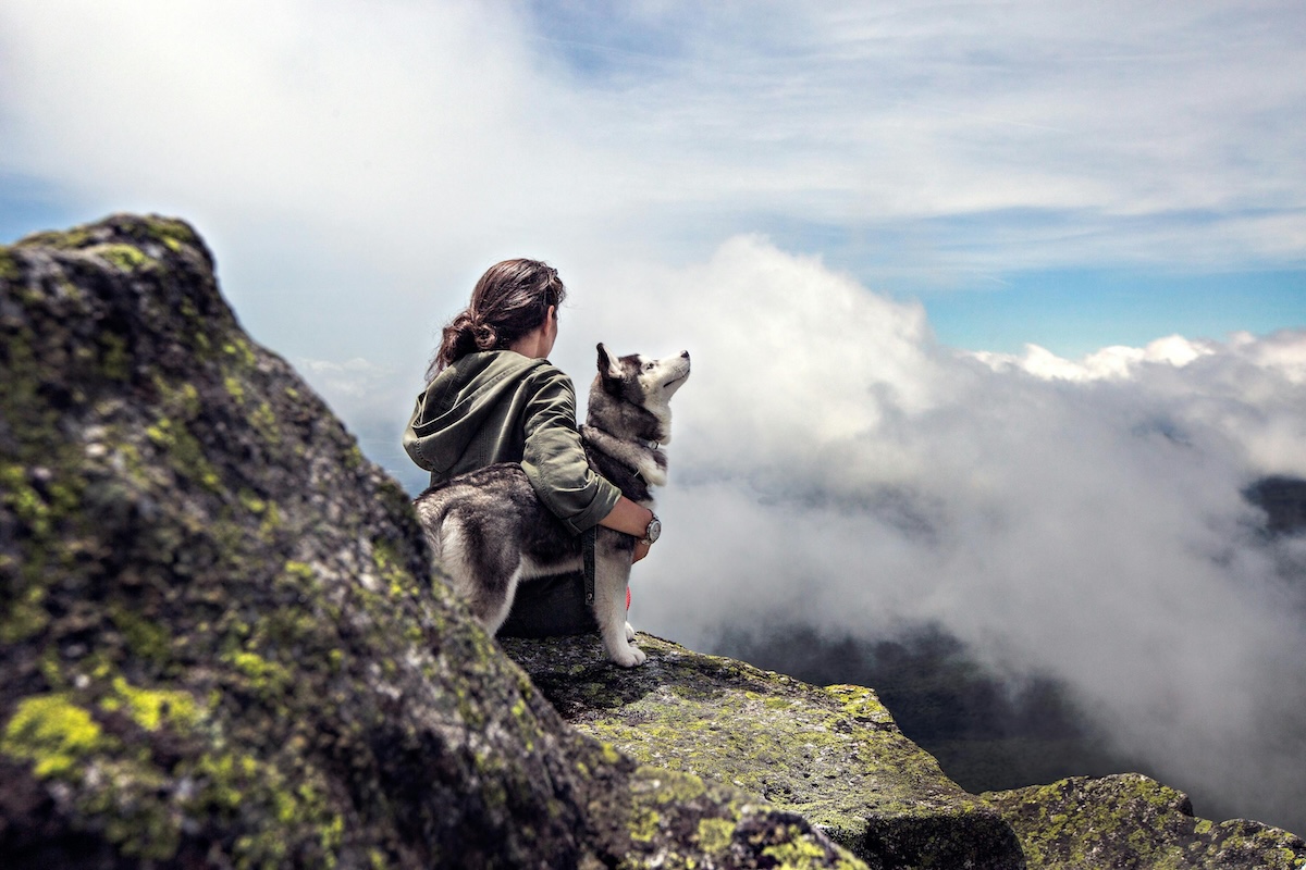 Aggressione di un cane in montagna: si può chiedere risarcimento?