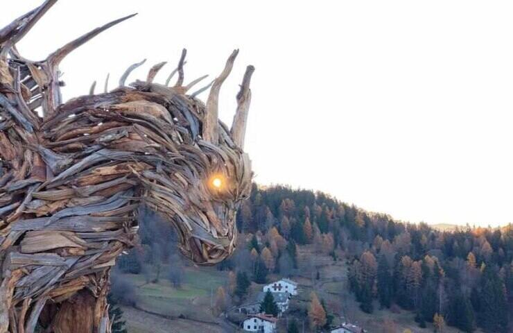 Drago di Vaia