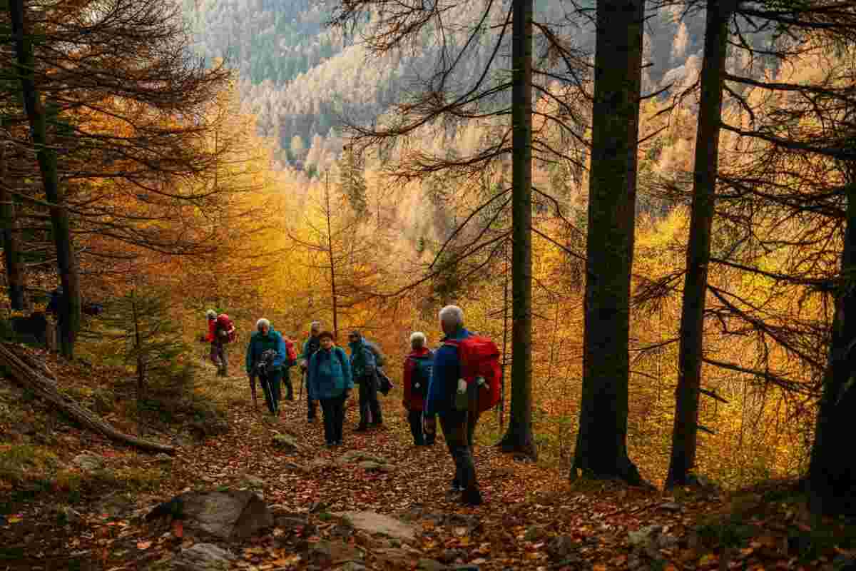 Escursioni in montagna in autunno: i consigli degli esperti