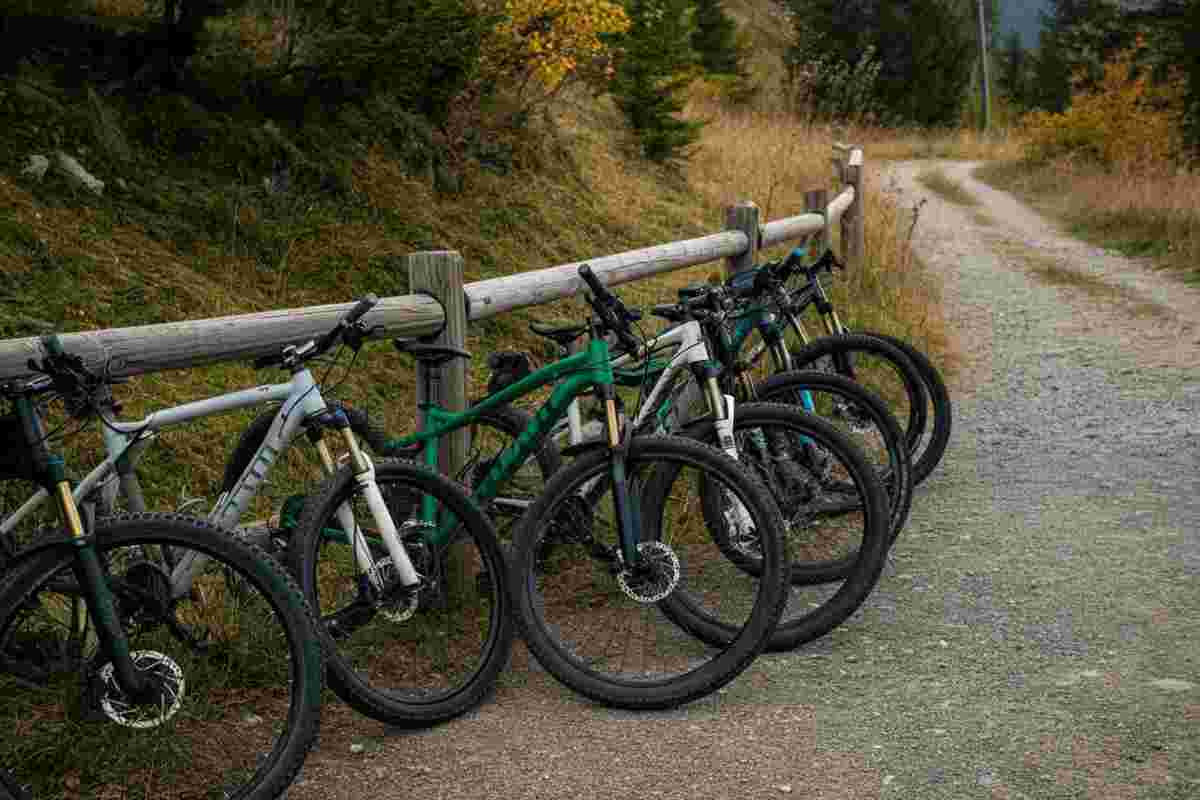 Mountain Bike per escursioni autunnali, quali scegliere per andare sul sicuro